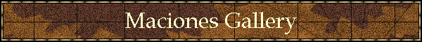 Maciones Gallery