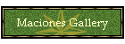 Maciones Gallery