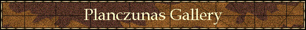Planczunas Gallery
