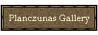 Planczunas Gallery