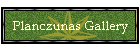 Planczunas Gallery