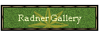 Radner Gallery